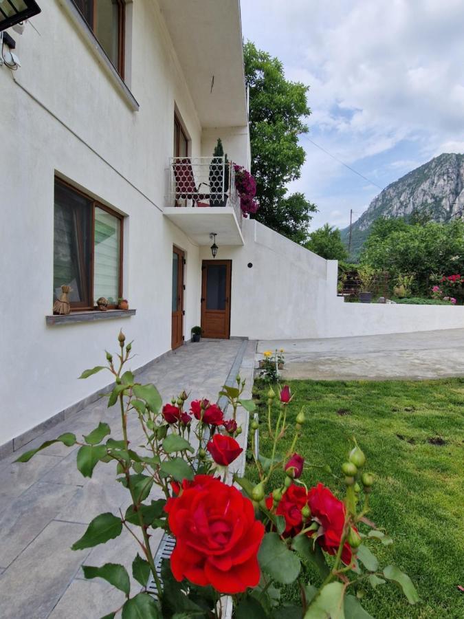 Renate House Hotel Băile Herculane Exterior photo